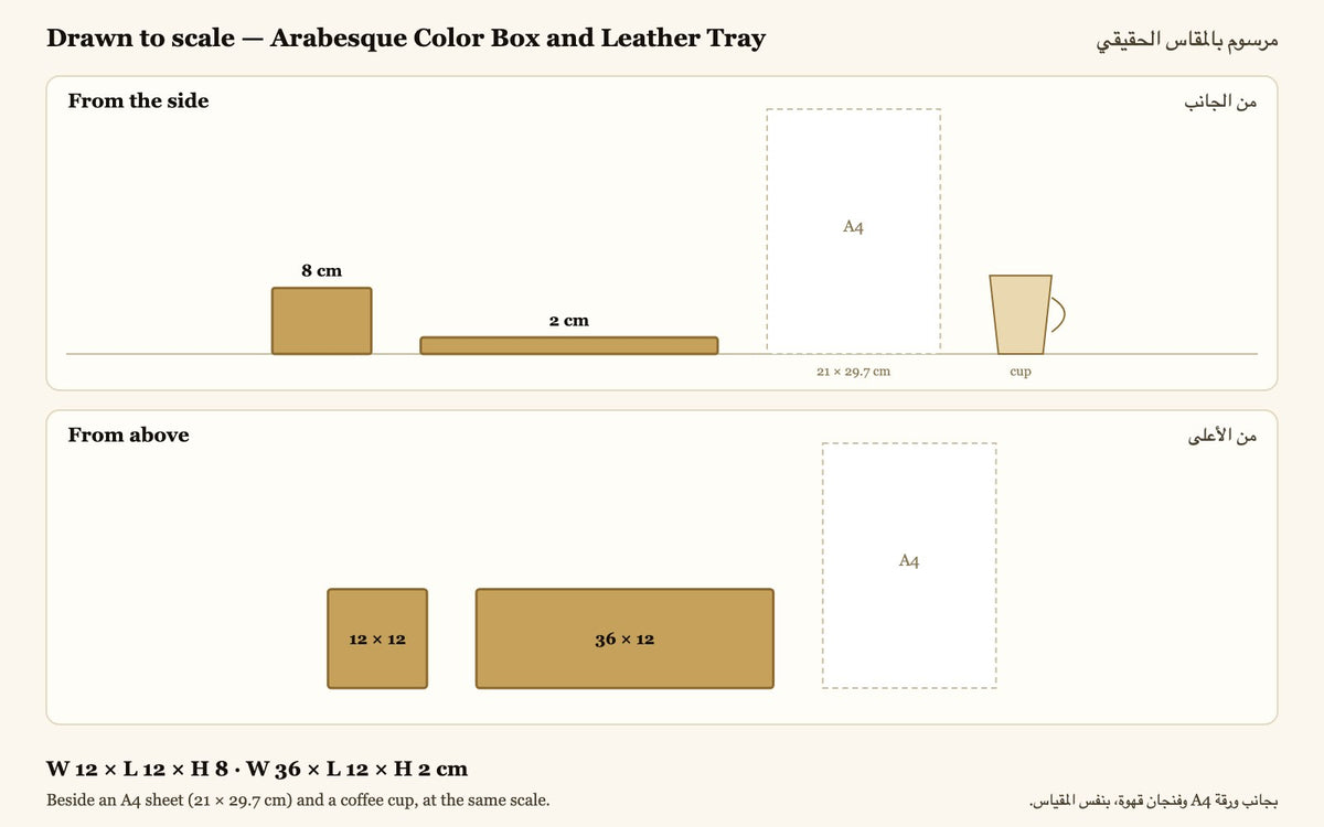 مرسوم بالمقاس الحقيقي — عرض 12 × طول 12 × ارتفاع 8 · عرض 36 × طول 12 × ارتفاع 2 سم، بجانب ورقة A4 وفنجان قهوة