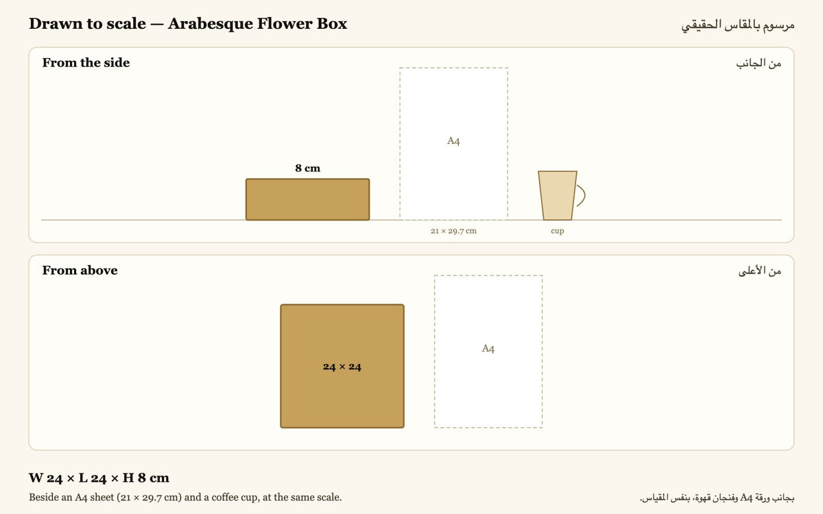 Drawn to scale — W 24 × L 24 × H 8 cm, beside an A4 sheet and a coffee cup