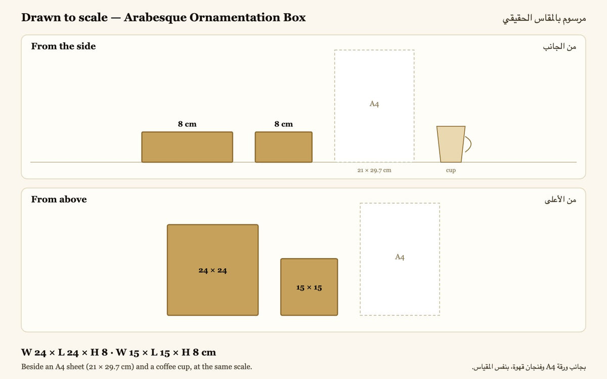 Drawn to scale — W 24 × L 24 × H 8 · W 15 × L 15 × H 8 cm, beside an A4 sheet and a coffee cup
