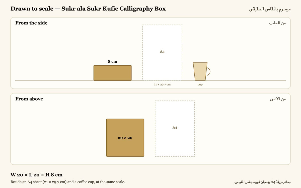 Drawn to scale — W 20 × L 20 × H 8 cm, beside an A4 sheet and a coffee cup