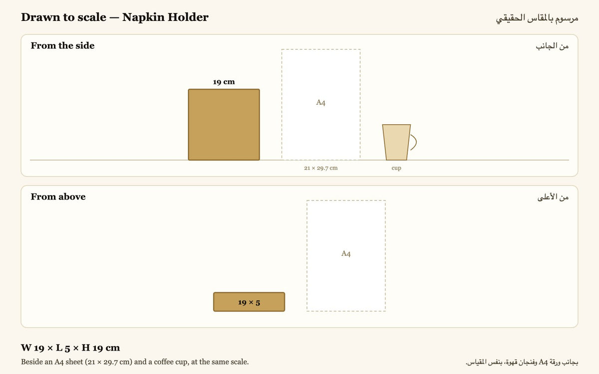 Drawn to scale — W 19 × L 5 × H 19 cm, beside an A4 sheet and a coffee cup