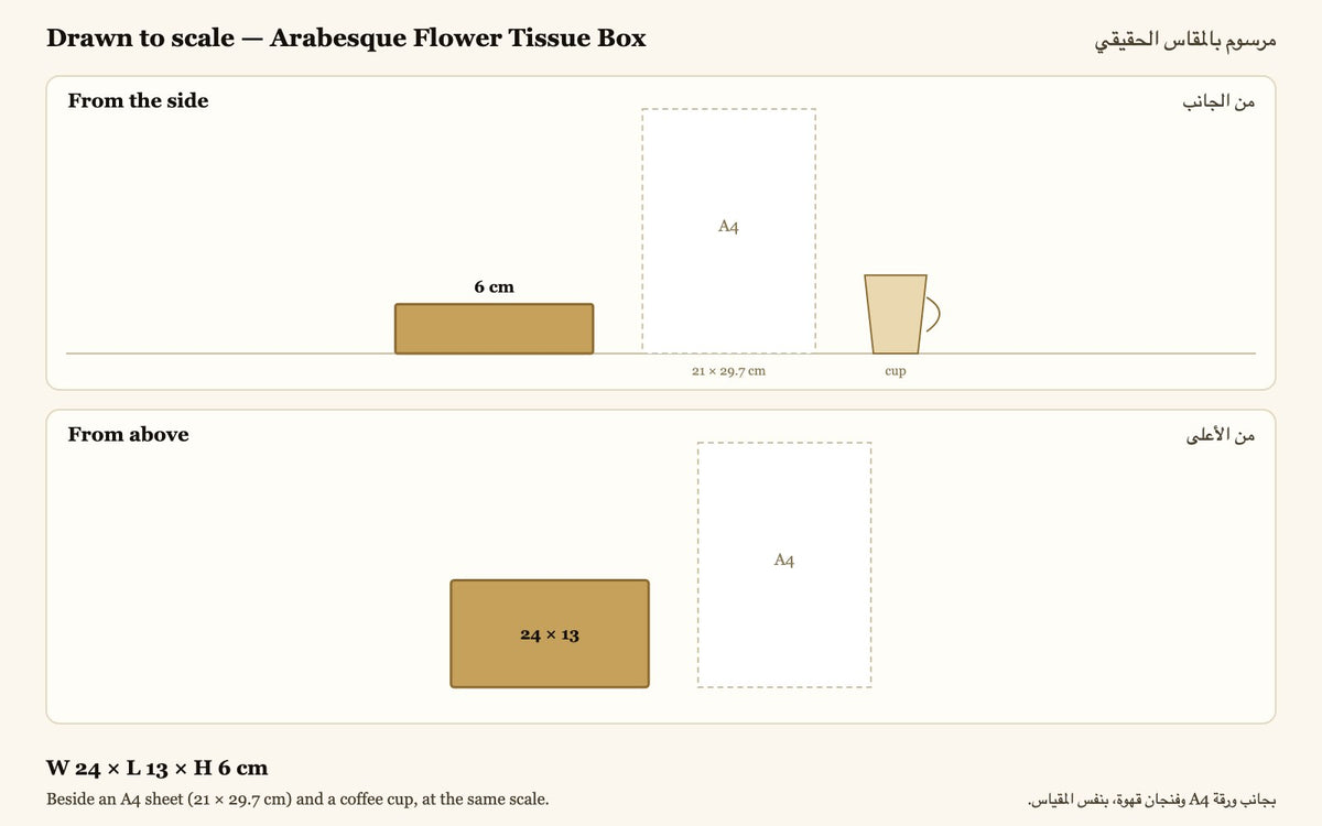 Drawn to scale — W 24 × L 13 × H 6 cm, beside an A4 sheet and a coffee cup